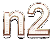 n2 logo